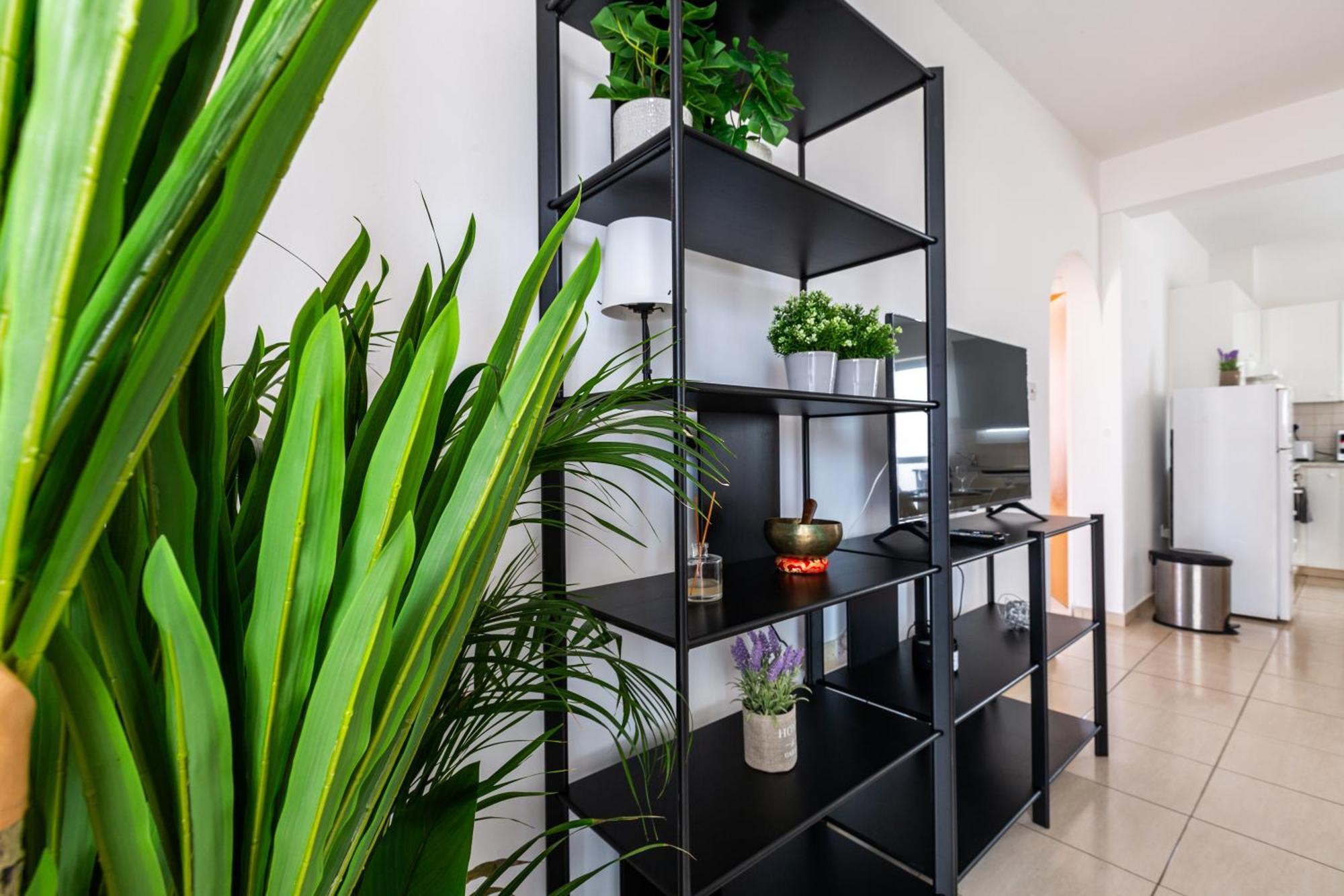 Beautiful 2 Bed Apartment In Paphos Cyprus 외부 사진